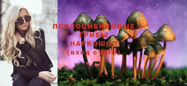 тгк Беломорск