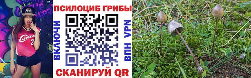 Купить где  Сосногорск  Галлюциногенные грибы MAGIC MUSHROOMS 